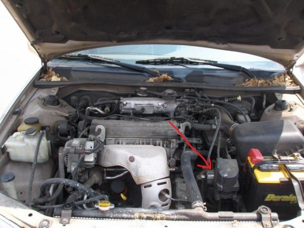 Think The Starter On Our 98 Toyota Camry Is Badcan We Try Car Wiring